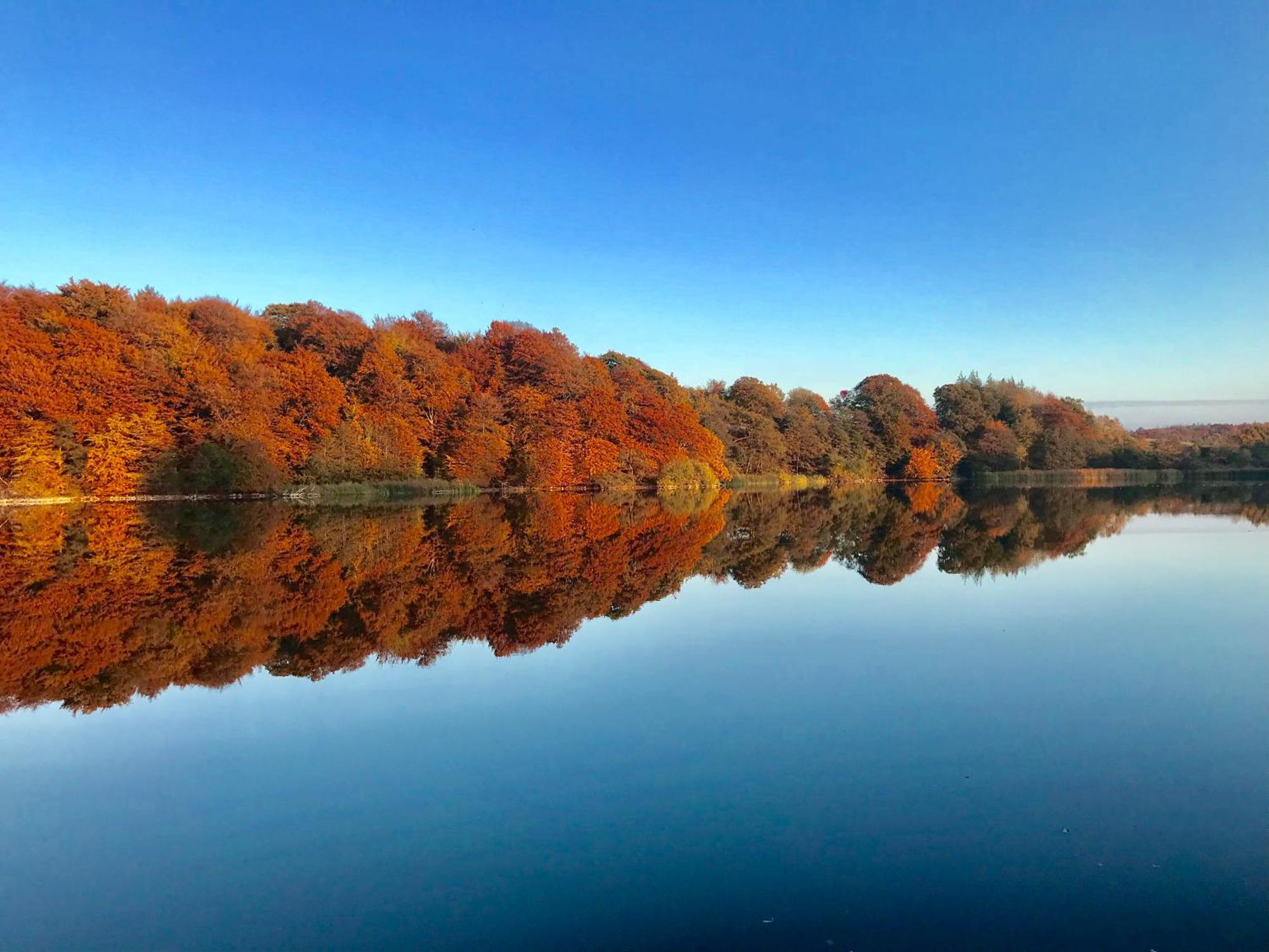 Skjoldenaesholm Slot Hotel Jystrup Luaran gambar