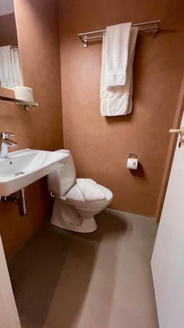 Skjoldenaesholm Slot Hotel Jystrup Luaran gambar